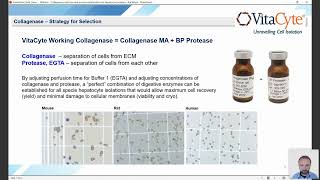 Webinar Collagenase Selection amp Process Optimization for High Yield Hepatocyte Isolation [upl. by Nadeau118]