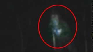 Bigfoot Caught on Tape Ouachita National Forest [upl. by Anihsit]