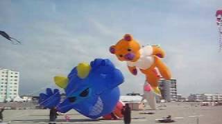 cerf volant Berck sur mer [upl. by Squires691]