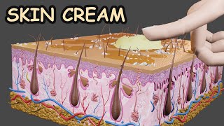 Skin Protective Cream  How it Works  3D CGI Animation 2024 [upl. by Htebesile]