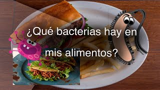 Contaminación en alimentos por Coliformes método NMP [upl. by Koah]