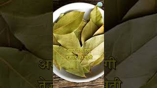 तेजपत्ता बना देगी अमीर  Bay Leaf [upl. by Abrahan]