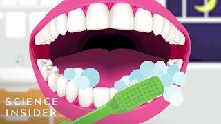 Easiest Way To Get Rid Of Bad Breath According To A Dentist [upl. by Leavelle]