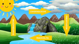 Il ciclo dellacqua Lacqua un bene indispensabile [upl. by Tichonn360]