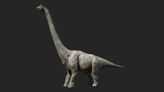 Brachiosaurus Dinosaur [upl. by Murry]