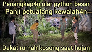 PANJI PETUALANG MENANGK4P ULAR PYTHON BESAR DI RIAU SAMPAI BADAN NYA DI LIL1T PYTHON [upl. by Allys]