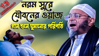 নরম সুরে যৌবনের কান্নার ওয়াজ।মুফতি নাসির উদ্দিন আনসারী নতুন ওয়াজ২০২৩।Nasir Uddin Ansari waz 2023 [upl. by Punak]