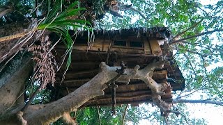 SLEEPING IN A TREEHOUSE Sri Lanka [upl. by Capello]