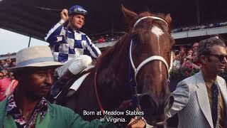 Secretariats Legendary Triple Crown Victory Relive the 1973 Belmont Stakes [upl. by Gauldin570]