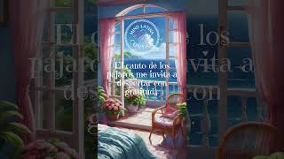 PRESENTE mindfulness meditacionguiada reflexiones frase bienestar hoyimportant present [upl. by Zavras]