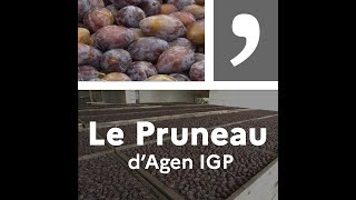 Un produit un territoire  Le pruneau dAgen IGP [upl. by Oletha]