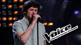 Marius Brustad  Coconut Skins  The Voice Norge 2017  Blind Auditions [upl. by Yaja790]