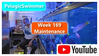 Week 169 Maintenance [upl. by Myer]