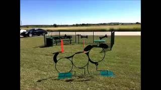 Dog Park Equipment Video [upl. by Htyderem581]