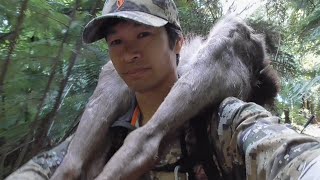 Deer Hunting In New Zealand Bush [upl. by Amiel]