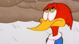 Woody Woodpecker Show  Bad Weather  Full Episode  Videos For Kids [upl. by Sarazen]