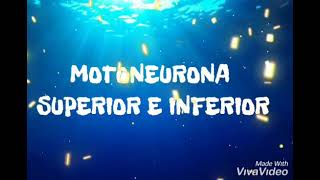 Motoneurona superior e inferior [upl. by Enial]