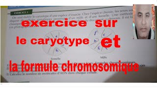 exercice sur le caryotype et la formule chromosomique [upl. by Aksoyn264]