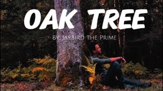 JayBird the Prime Oak Tree official music video [upl. by Afas]