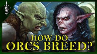 How Do ORCS Breed  Lord of the Rings Lore [upl. by Marb353]