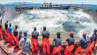 Everyone should watch this Fishermens video  Big Catch Hundreds Tons Fish With Modern Big Boat [upl. by Aicileb]