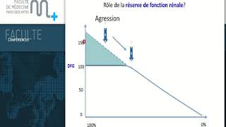 Insuffisance rénale aiguë et agression rénale aiguë [upl. by Ahsyla]