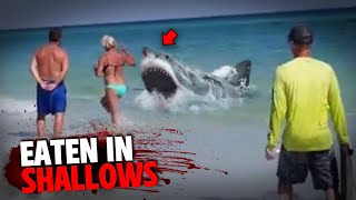 These 3 Swimmers Are EATEN ALIVE By Shark In SHALLOW Water [upl. by Etep873]