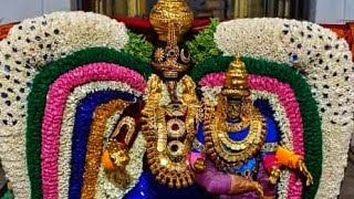 அருள்மிகு மருந்தீசுவரர் திருக்கோயில்  பங்குனி திருவிழா 2024  விநாயகர் திருவீதி உலா festival yt [upl. by Suertemed]