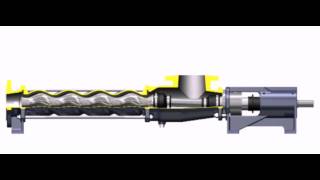 Seepex Progressive Cavity Pumps  Equal Wall Animation [upl. by Pharaoh161]