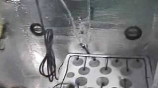 Air Pump Setup For Hydroponic System [upl. by Refeinnej]