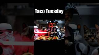 Taco Tuesday memes  Star Wars Cat cook tacos for Tuesday taco tuesday meme starwars catmemes [upl. by Krall]