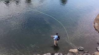 Spey Casting Skagit lines Basic and Advanced Skagit Casting Techniques [upl. by Simara]