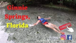 Ginnie Springs The Best Hidden Springs in Florida [upl. by Ai]