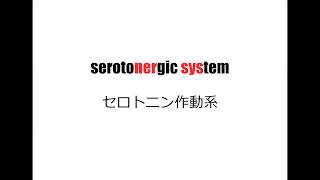 理系英単語リズミクス serotonergic system [upl. by Audrit]