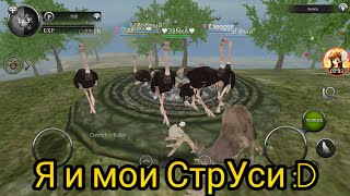 Wild Animals Online GamePlay💞СтрУси💞 [upl. by Ahsyekat]