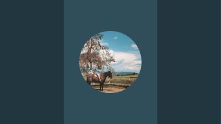 Rudnik the Roan is live Hanging out and QampA [upl. by Arracahs]