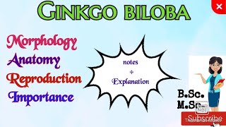 Ginkgo biloba Morphology Anatomy Reproduction Gymnosperm Ginkgo biloba notes mscbotany ginkgo [upl. by Einatsed]