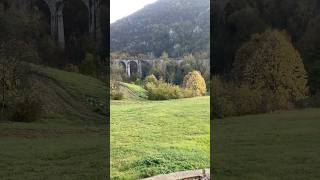 Manastir Ćelije priroda nature monastery монастырь serbia manastirćelije viral trending [upl. by Eesdnil189]