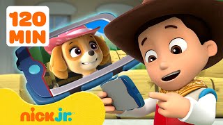 Ryder ruft die PAW PatrolWelpen zum Wachturm  Nick Jr Deutschland [upl. by Boyce]