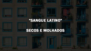 SANGUE LATINO  Secos e Molhados  Letra [upl. by Alyssa]