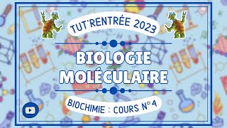 Biochimie  04  Biologie moléculaire [upl. by Eelhsa977]