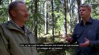 Skog med variation – skötsel för olika mål [upl. by Peirsen]