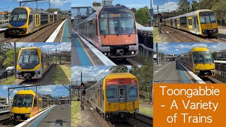 Transport for Sydney Vlog 565 Toongabbie Part 2  A Variety of Trains [upl. by Anihsat]