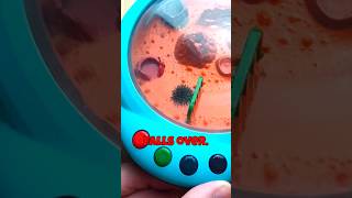 Ferro learned some tricks petlover kickstarter toys tamagotchi pokémon [upl. by Enirehtacyram]