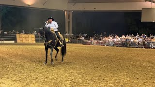 Féria caballo español edición Arriba de un cuaco Jesús Uriarte Banda la indicada la mejor de Maza [upl. by Ahsinwad]