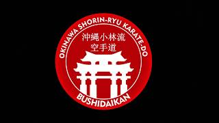 KIHON KATA YONDAN  OKINAWA SHORINRYU KARATEDO BUSHIDAIKAN [upl. by Heindrick772]