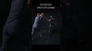 Padwork  Polish saber techniques 🔥 [upl. by Aglo116]