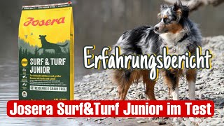 Hundefutter Test  Trockenfutter  Surf amp Turf JUNIOR [upl. by Ventre]