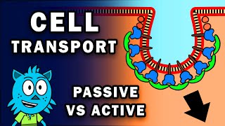 CELL TRANSPORT PASSIVE AND ACTIVE [upl. by Jeniece]