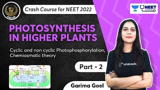 Phoenix 20 Biology Most Important Video for NEET 2025  Unacademy NEET Toppers  Udaan [upl. by Cowden297]